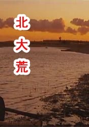 999热精品这里在线观看